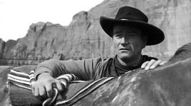 Ford, John: Searchers, The (1956; US) 