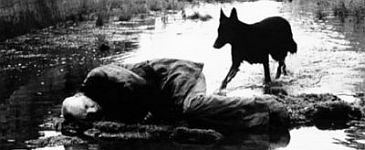 Stalker (Tarkovsky, Andrei; 1979)