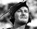 The Adventures of Robin Hood (1938) [co-directed by William Keighley]