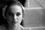 The Black Swan (2010)