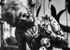 Fando y Lis (1968)
