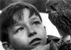 Kes (1969)