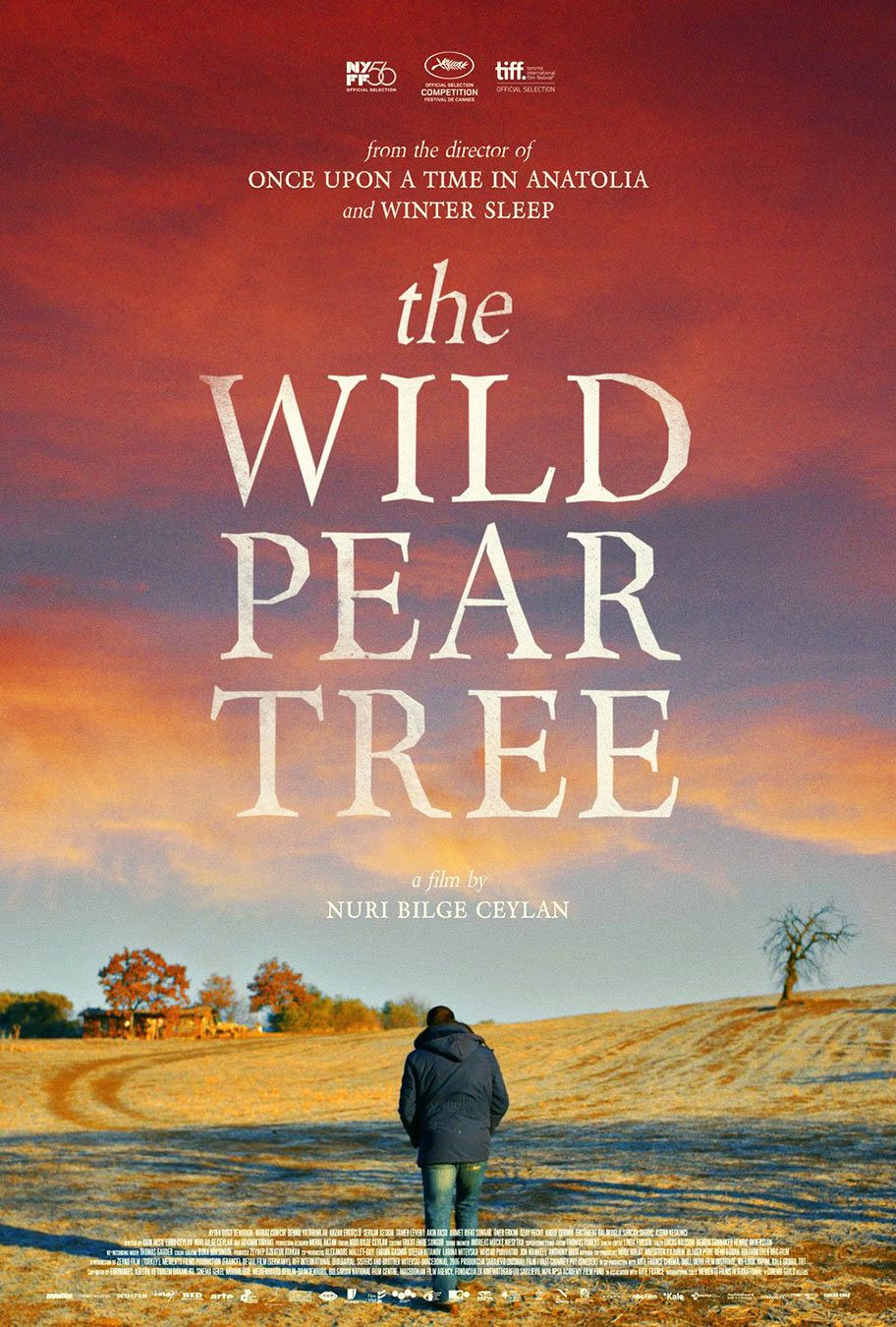 The Wild Pear Tree